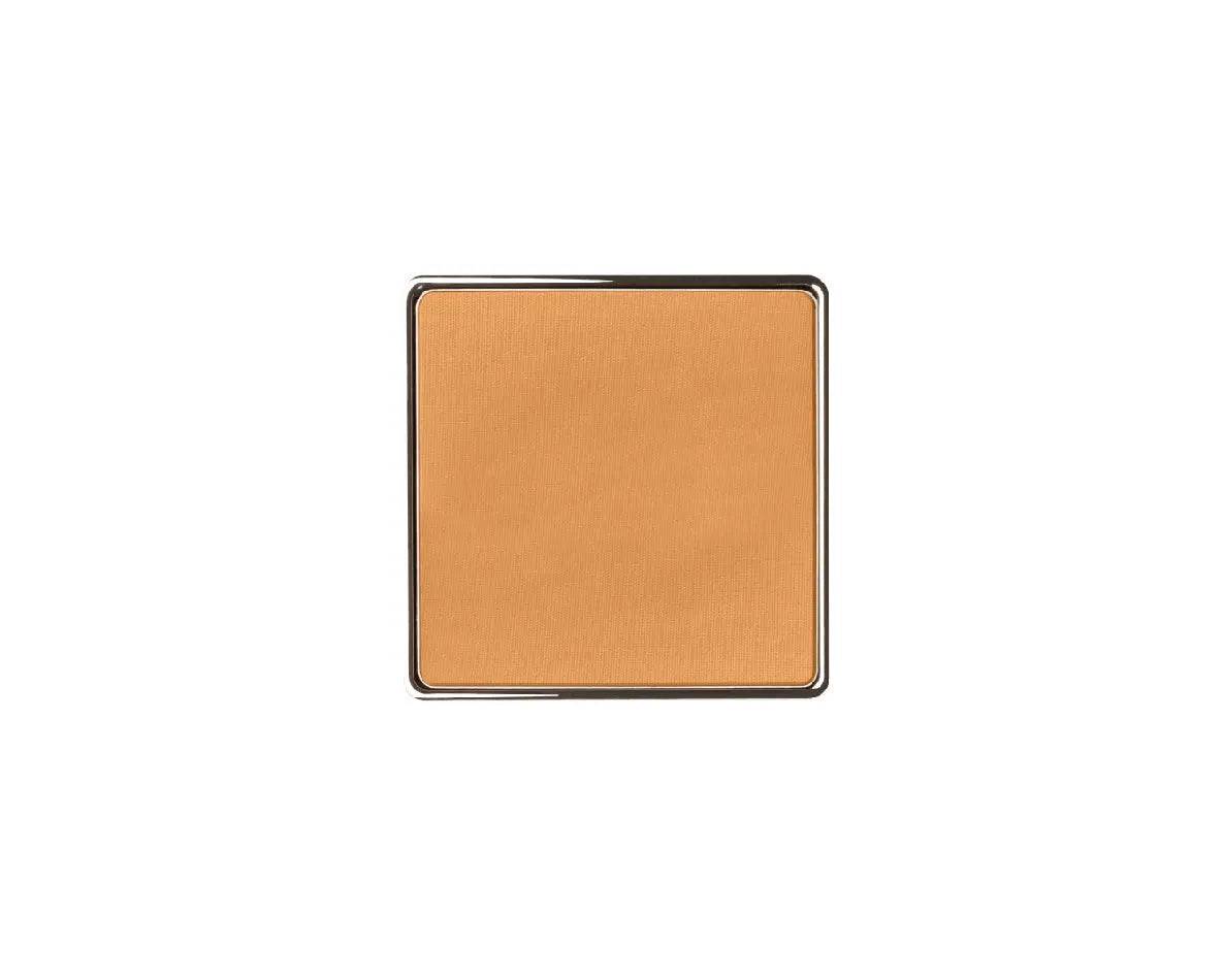 HY-GLAM POWDER FOUNDATION REFILL - מילוי מחדש- מייקאפ פודרה היי-גלאם פאודר פאונדיישן - Image 24
