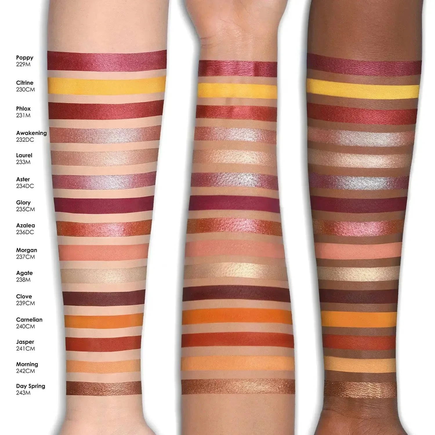 SUNRISE EYESHADOW PALETTE - פלטת צלליות לעיניים סאנרייז - Image 3