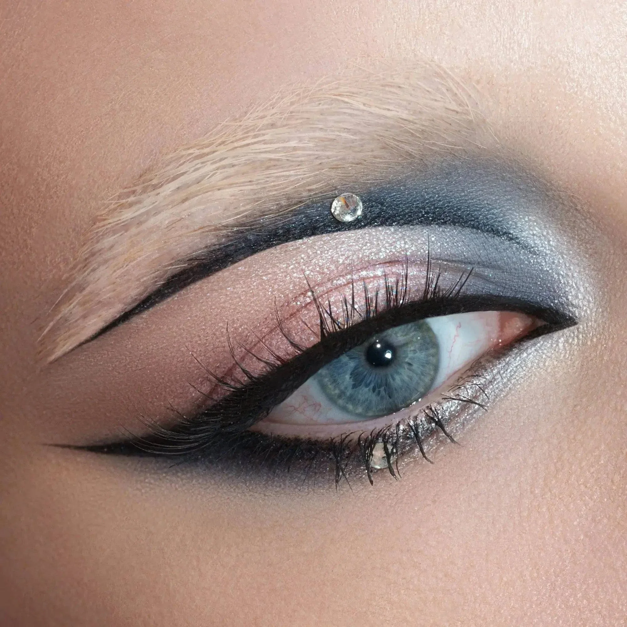 XENON EYESHADOW PALETTE - פלטת צלליות לעיניים קסנון - Image 10